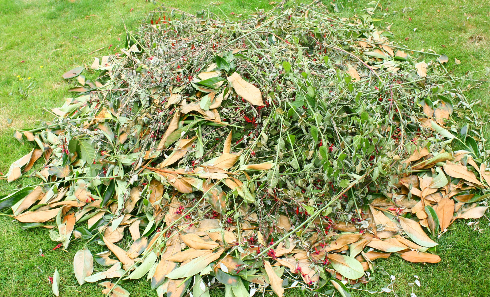 Green Waste Pile